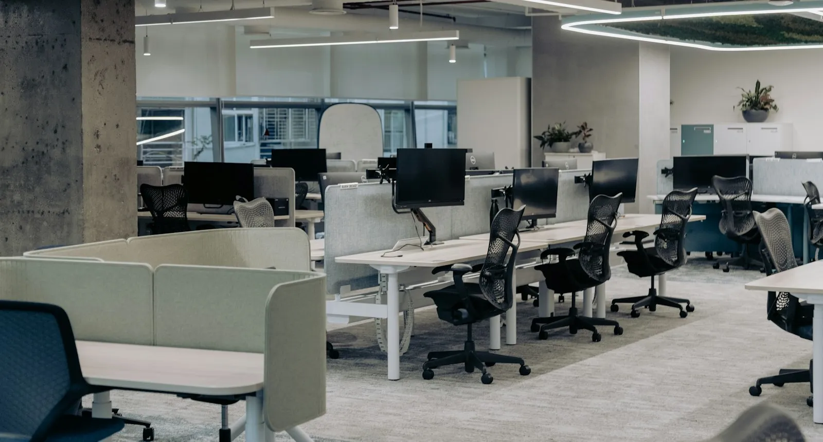 Bright, tidy open-plan office