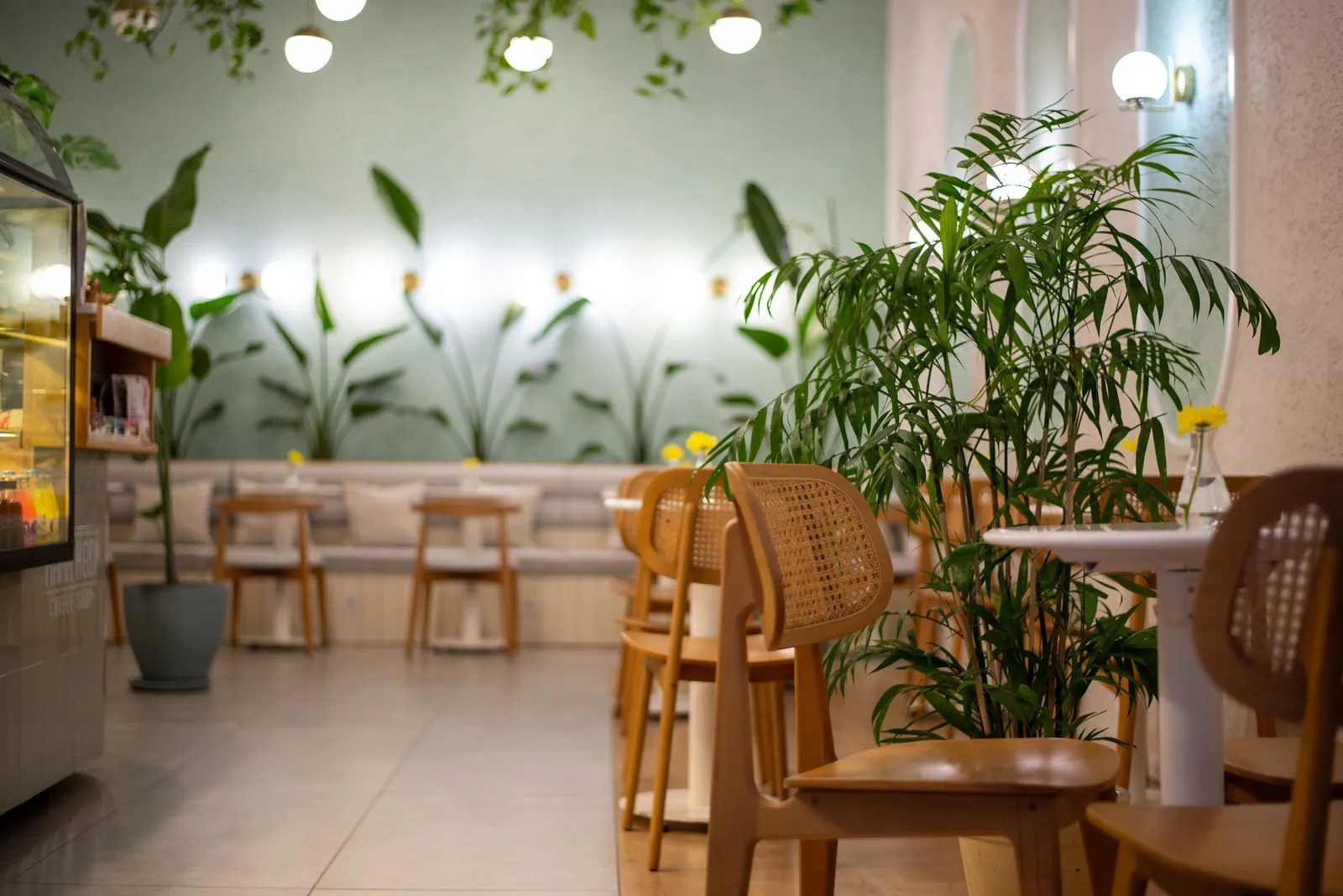 Café interior with wooden tables and plants